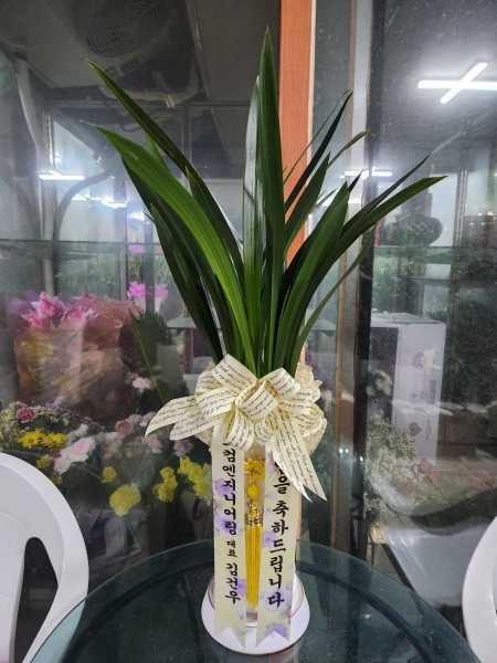 [�λ��̵� ��õ] �Ͼ���� �Ǿ�� ���� ����� �ɹ�� ���� 