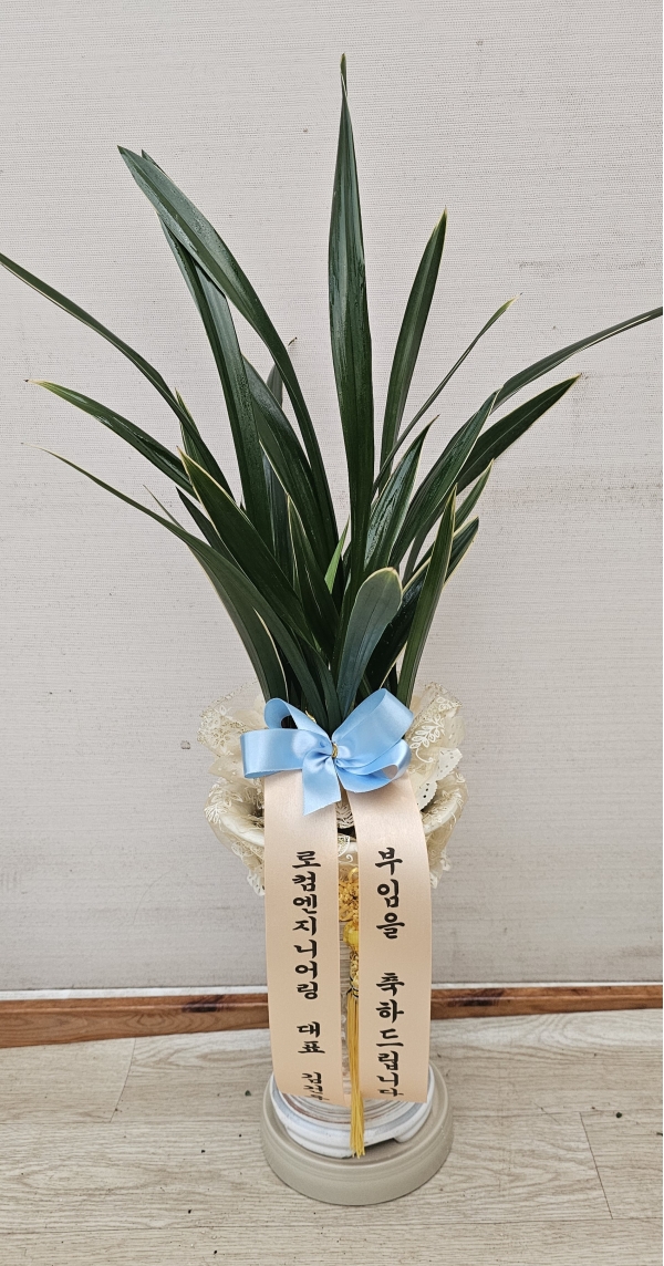 [�λ��̵� ��õ] �Ͼ���� �Ǿ�� ���� ����� �ɹ�� ���� 