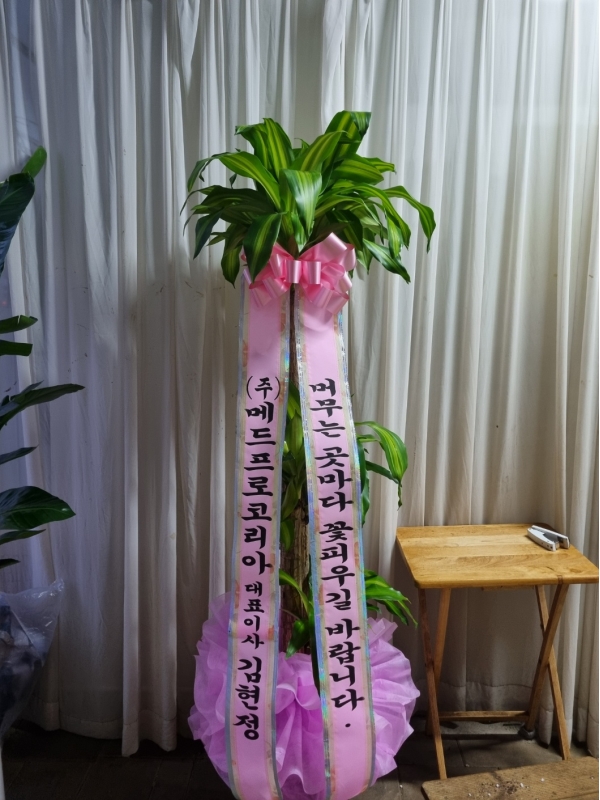 �鿪���� �淯�ִ� ����-������ �����Ҽ�(������.�а��̾���) �ɹ�� ���� 