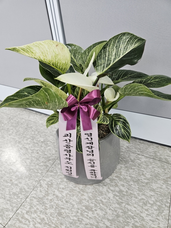 ���ٸ� �Ƹ��ٿ��� �� - ��Ų��� �ɹ�� ���� 