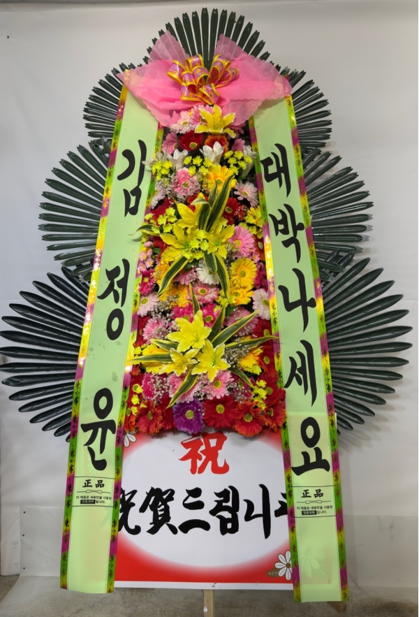 ������ ���� ����3��ȭȯ �ɹ�� ���� 