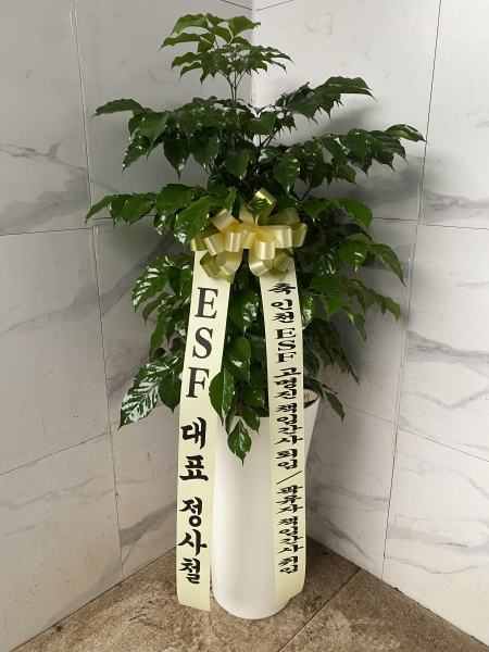 ��ġ�ʴ� �Ƹ��ٿ� ��� - �캸��(��) �ɹ�� ���� 