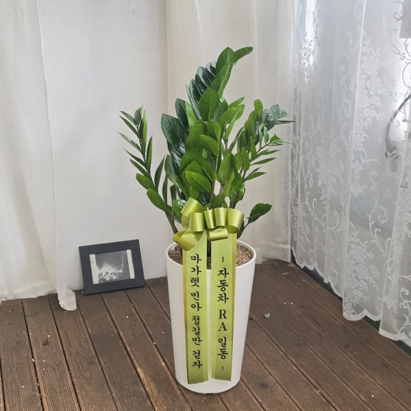 �������� ������õ - �̱׷��� ������ C �ɹ�� ���� 
