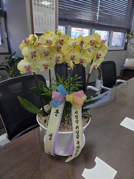 ������ ������ ����� �Բ� ������, ��� ȣ���� �ɹ�� ���� 