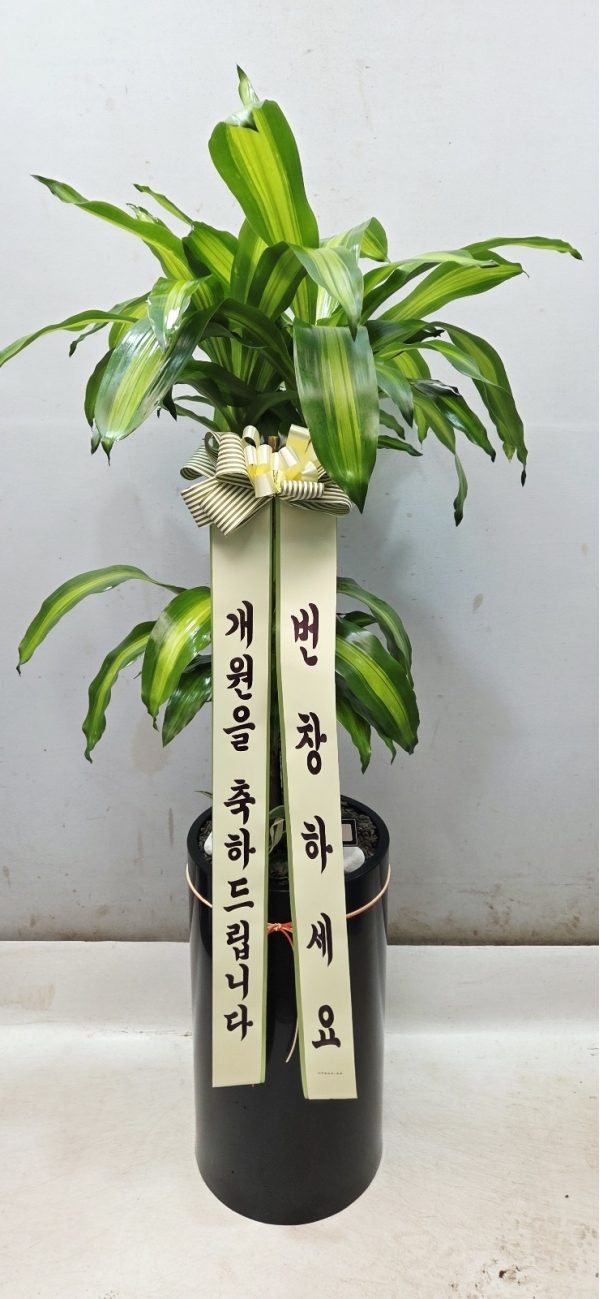 ����� ������ �ִ� ���� �ɹ�� ���� 