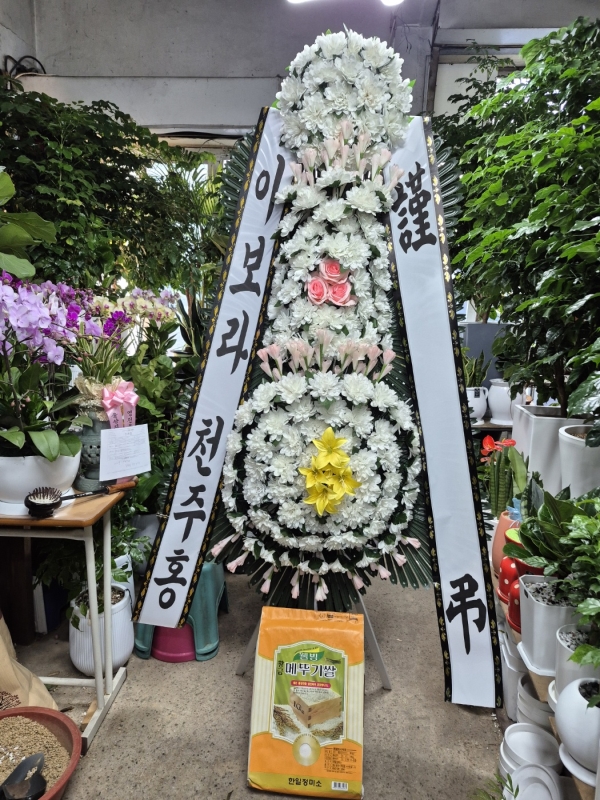 �����ô� ���� ǰ��! - �ö��119 ����3�ܱ⺻ȭȯ  (�������Ʈ) �ɹ�� ���� 