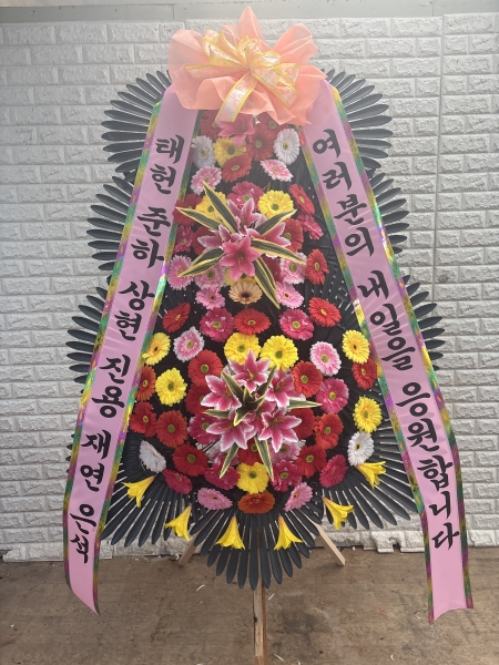 ������ ���� ����3��ȭȯ �ɹ�� ���� 