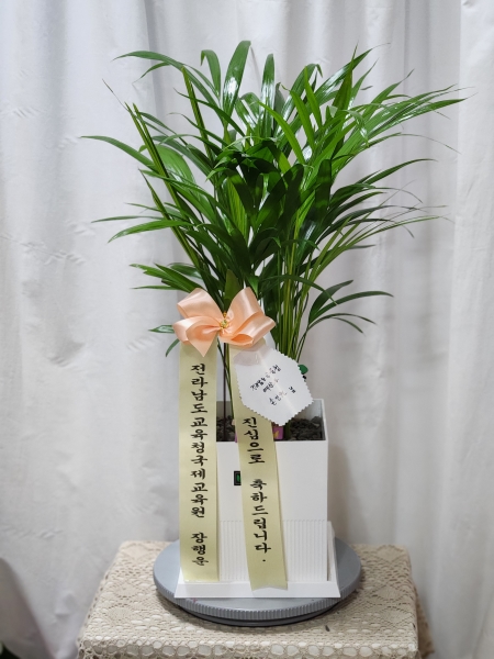 ������ȭ�ɷ��� ���� �÷����ڹ� �ɹ�� ���� 