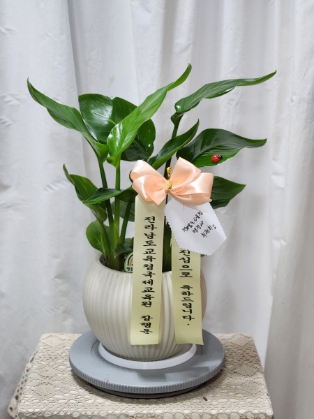 ������ȭ�ɷ��� ���� �÷����ڹ� �ɹ�� ���� 