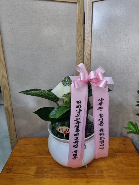 ������ȭ�ɷ��� ���� �÷����ڹ� �ɹ�� ���� 