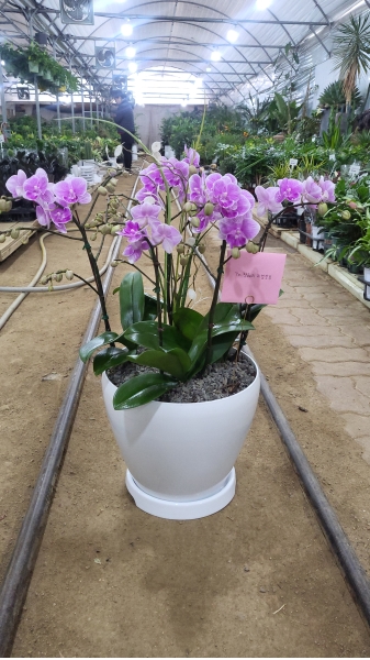 [����]�����ϴ� ���� ��� - ȣ���� ����� (��) (ȭ�⺯��) �ɹ�� ���� 