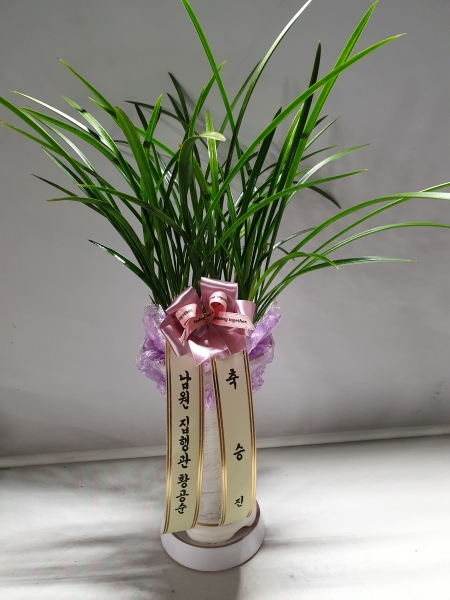 [�λ��̵� ��õ] �Ͼ���� �Ǿ�� ���� ����� �ɹ�� ���� 