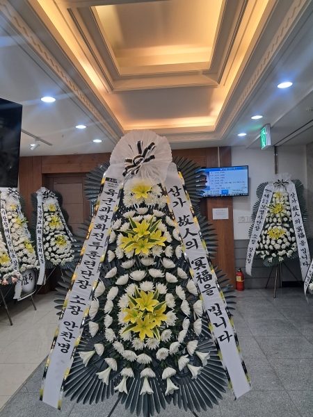 ������ ���� ���� 3�� ȭȯ �ɹ�� ���� 