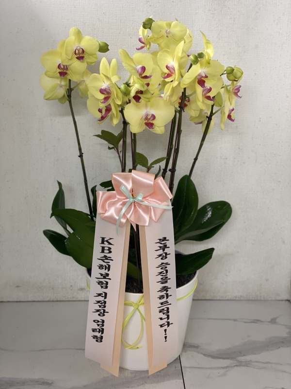 ������ ������ ����� �Բ� ������, ��� ȣ���� �ɹ�� ���� 