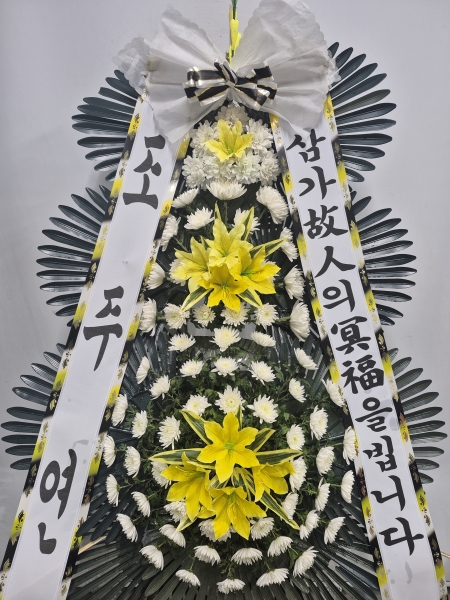 ������ ���� ���� 3�� ȭȯ �ɹ�� ���� 