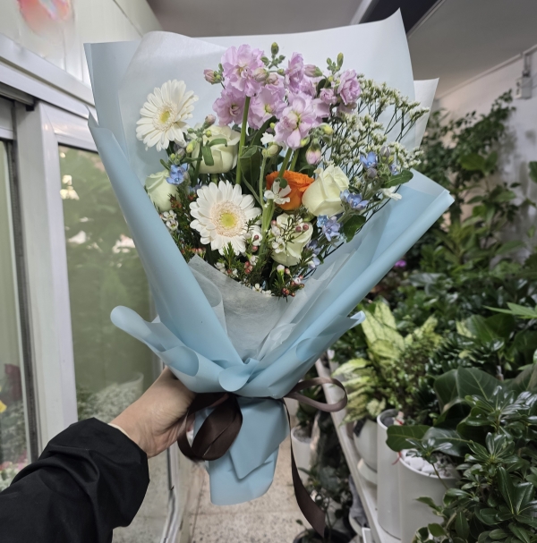 Spring violet - ����� ���� �޻� �ɹ�� ���� 