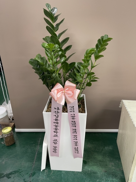 ��ø���! ������ ���漮 �ް� ���ǰԿ� - ������ �ɹ�� ���� 