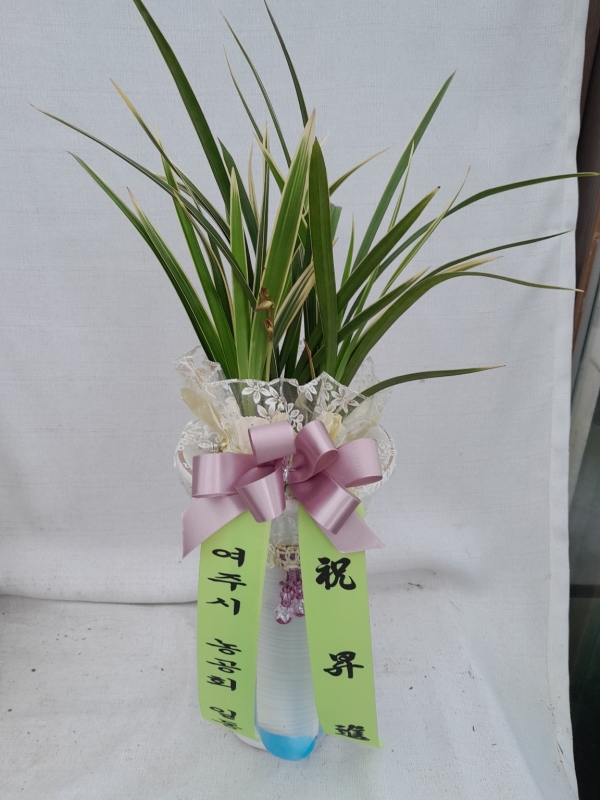 [�λ��̵� ��õ] �Ͼ���� �Ǿ�� ���� ����� �ɹ�� ���� 