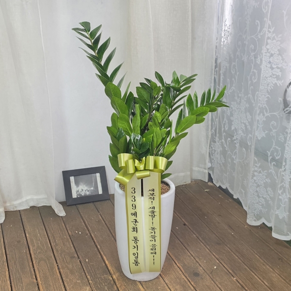 ��ø���! ������ ���漮 �ް� ���ǰԿ� - ������ �ɹ�� ���� 