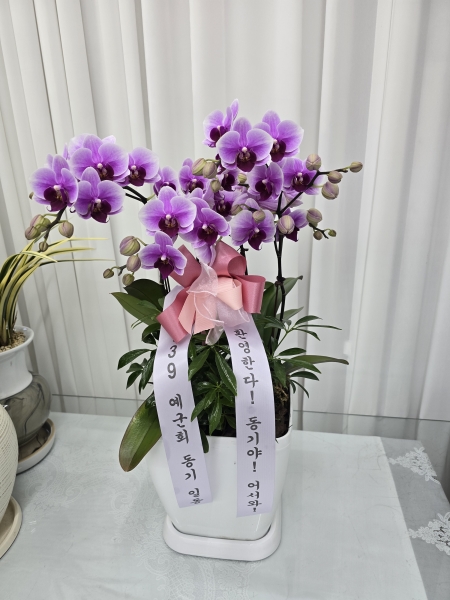 Office&Nature - ���̰� �Ƹ��ٿ� ���Ƽ (��) �ɹ�� ���� 