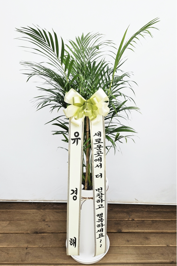 Offfice & nature �Ʒ�ī����(��)