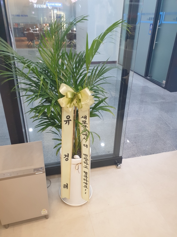 Offfice & nature �Ʒ�ī����(��)