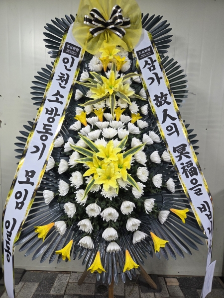 ���� �ֵ��� ���� ����ȭȯ �ɹ�� ���� 