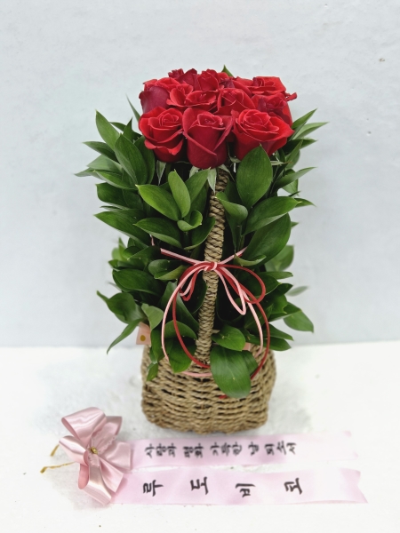 [ȭ⺯]   - Vital's day ɹ  