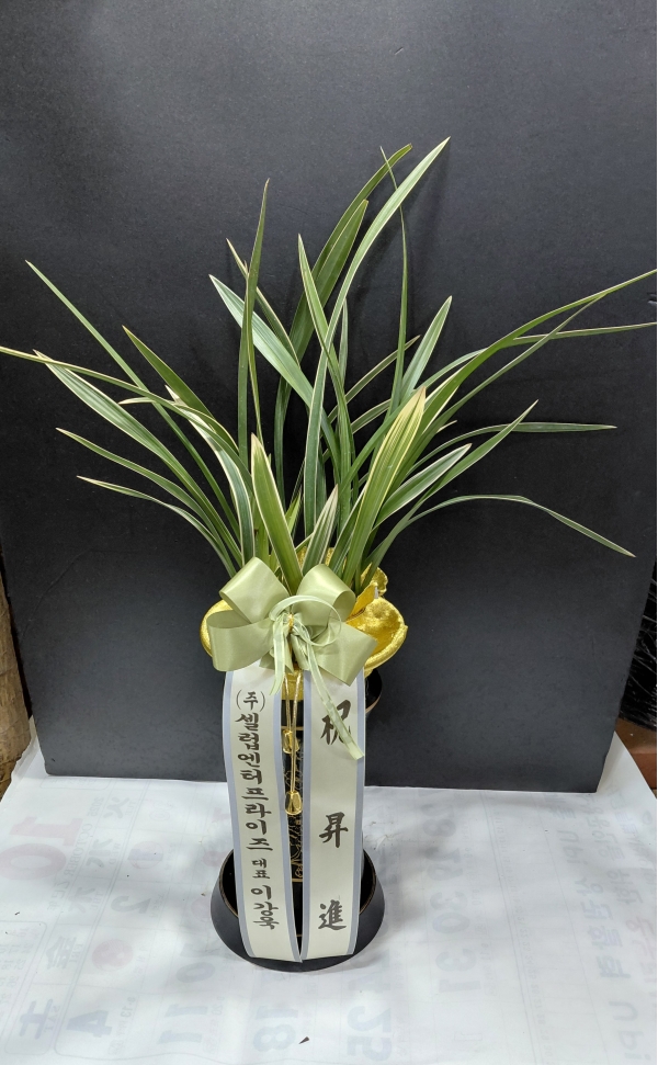 [λ̵ õ] Ͼ Ǿ ο  ɹ  