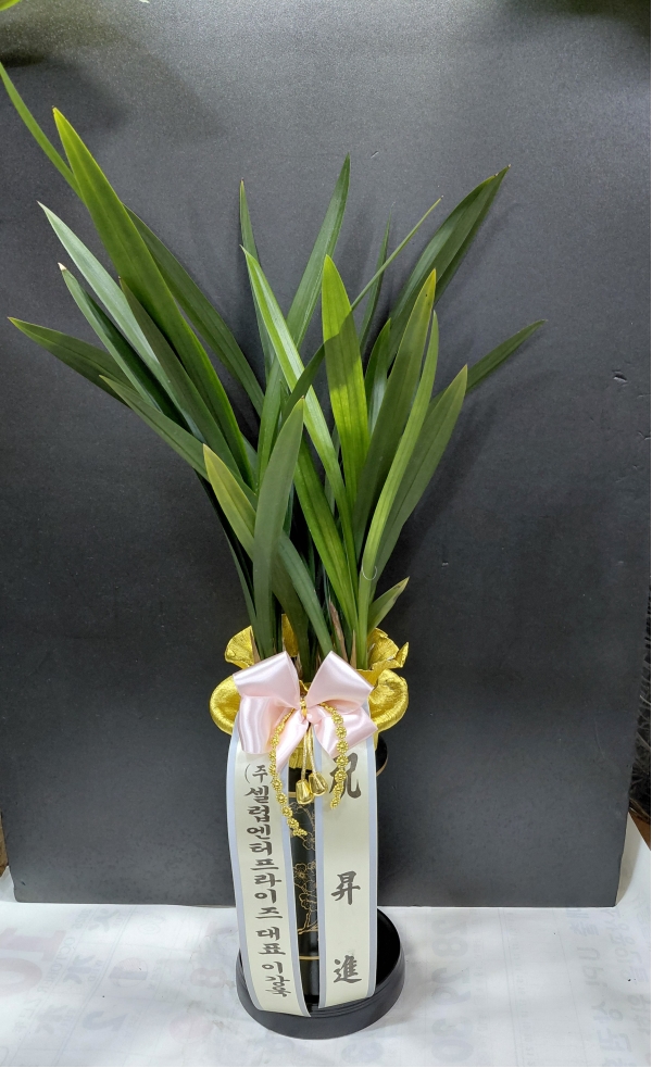 [λ̵ õ]   Ǿִ ǰִ  ɹ  