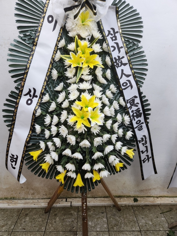  3 ȭȯ ( ) -   ǻ... ɹ  