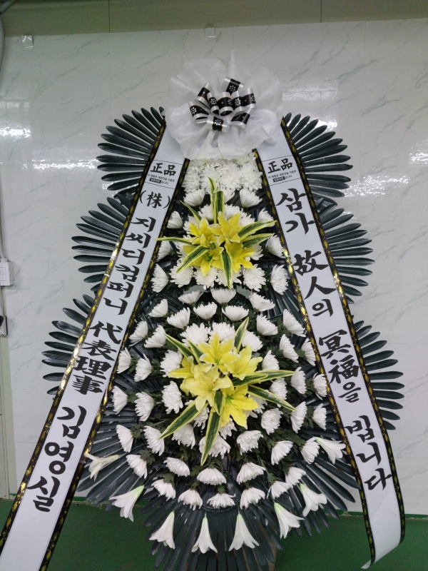 ô  ǰ! - ö119 3ܱ⺻ȭȯ  (Ʈ) ɹ  