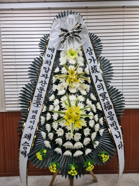 ô  ǰ! - ö119 3ܱ⺻ȭȯ  (Ʈ) ɹ  