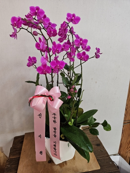 [] õȫ (߼) (ȭ⺯) ɹ  