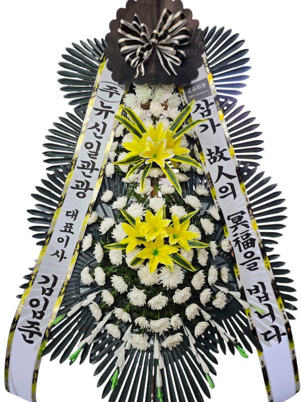 ô  ǰ! - ö119 3ܱ⺻ȭȯ  (Ʈ) ɹ  