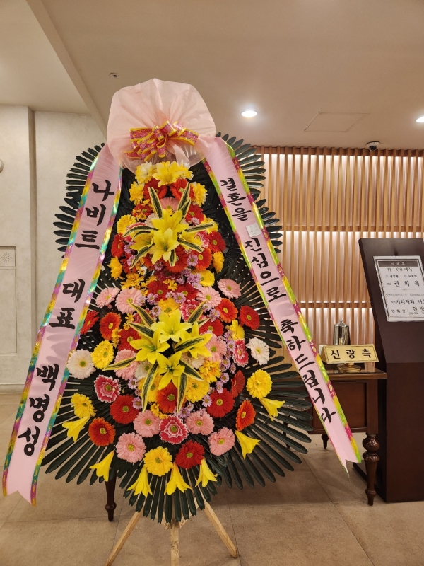 ôº ǰ! - ö119 3ȭȯ( Ϲ ) ɹ  