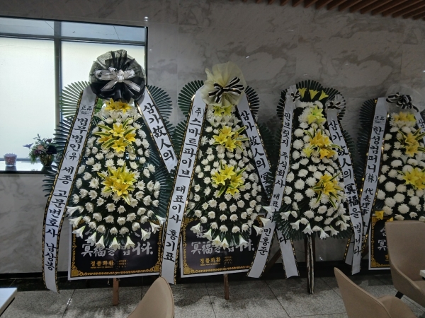 ô  ǰ! - ö119 3ܱ⺻ȭȯ  (Ʈ) ɹ  