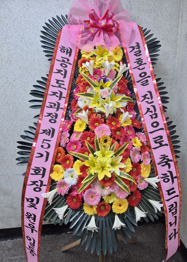   մϴ - ö119 3ȭȯ ( Ϲ ) ɹ  