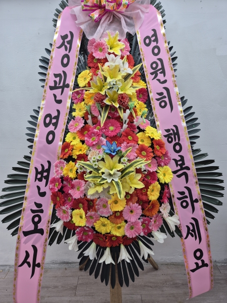 ôº ǰ! - ö119 3ȭȯ ɹ  