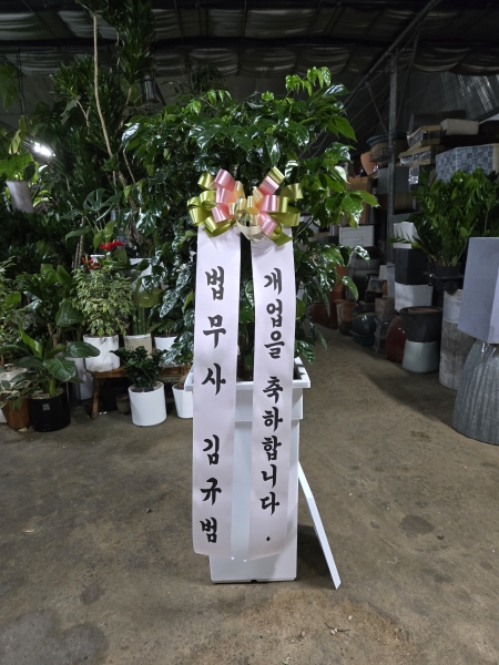 �������� �����ִ� ���׸��� �Ĺ� - �캸��(ȭ�⺯�氡��) �ɹ�� ���� 