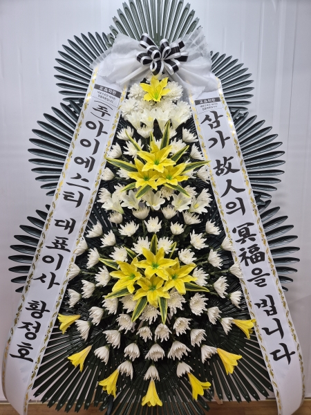 ô  ǰ! - ö119 3ܱ⺻ȭȯ  (Ʈ) ɹ  