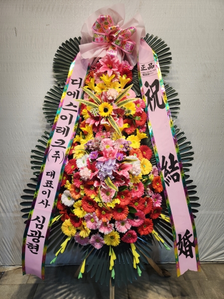 ȥ 3ȭȯ - (3 ⺻)λ  ο.... ɹ  