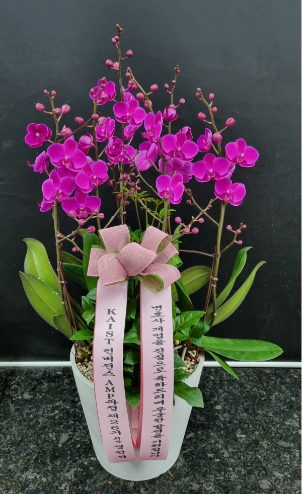  ù ο  ϴ,  ũ ȣ õȫ ɹ  