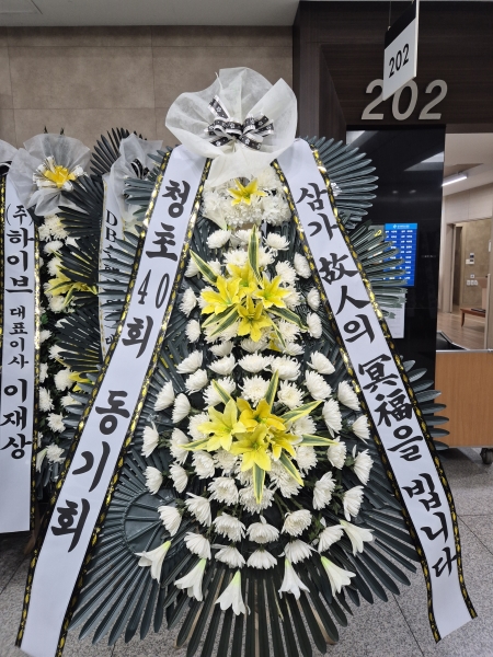 ������ ���� ���� 3�� ȭȯ �ɹ�� ���� 