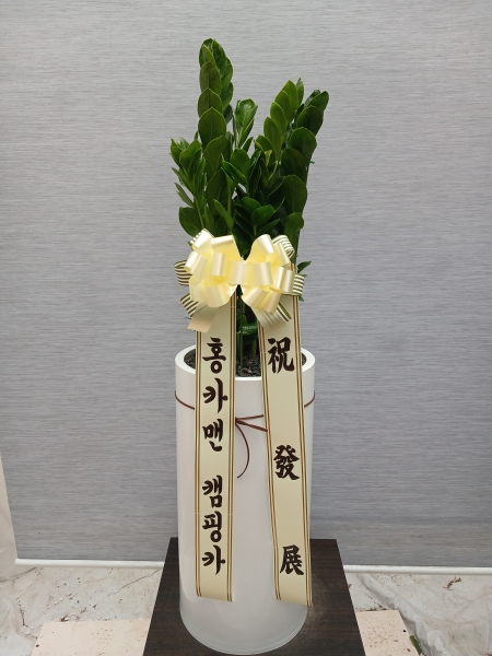 ������ �ɹ�� ���� 