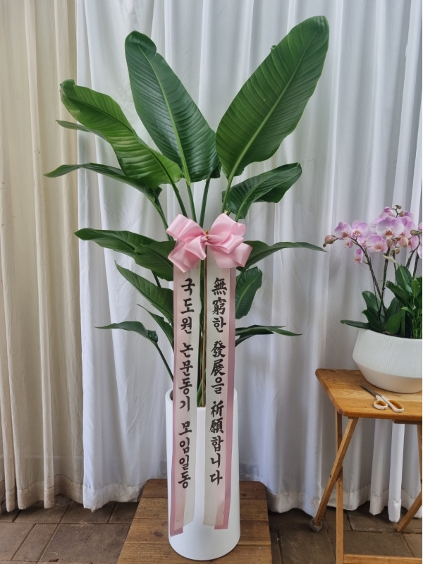 ����� �����ִ� �ڿ��� ���� - ������(��) �ɹ�� ���� 