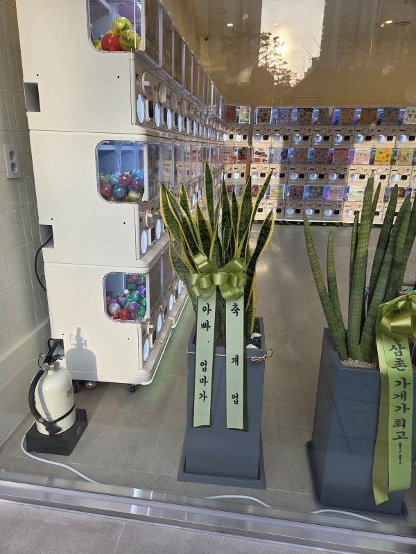 �����Ŀ� ȭ���� ��Ź��!  - ���� �ʿ���� ������ȭ�Ĺ� �꼼������ �ɹ�� ���� 