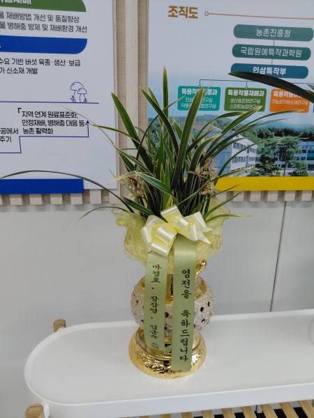 �ݱ� �ɹ�� ���� 