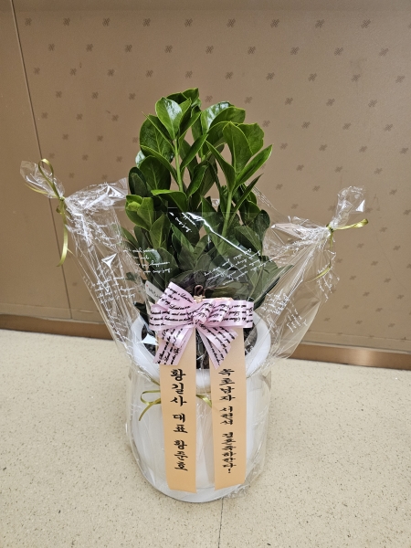 õ������û���� - ����Ƽ�ʸ�