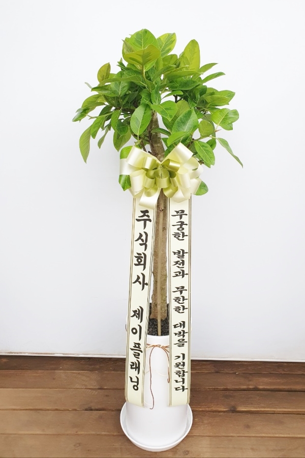 Office & nature �𰥰�������(��) (ȭ�⺯��)